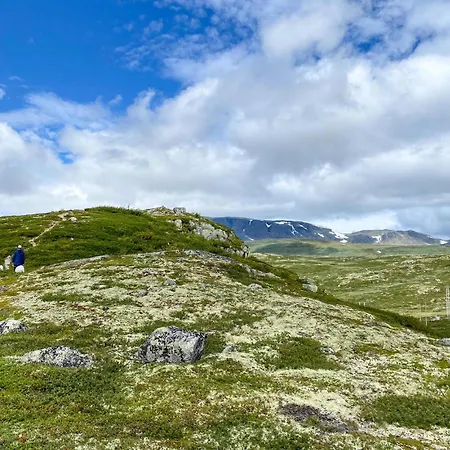 Awesome In With Wifi